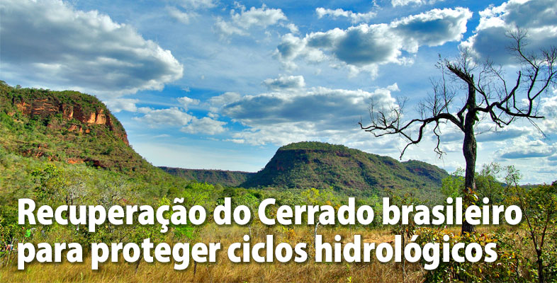 Recuperação do Cerrado brasileiro